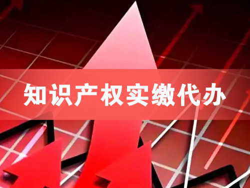 大理知识产权实缴资本代办